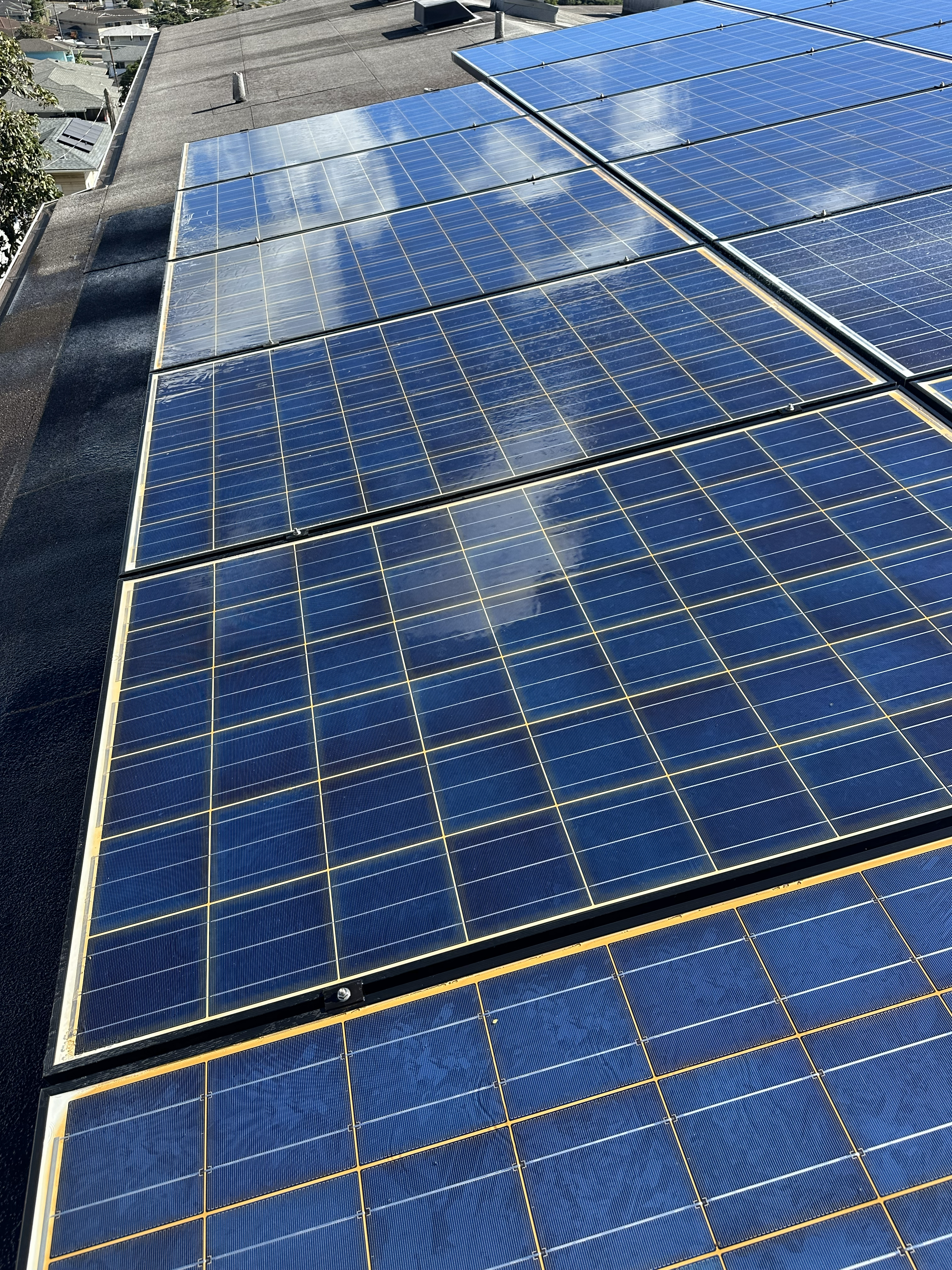 Solar panel after cleaning